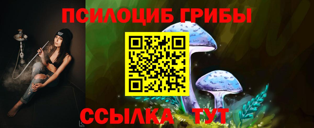 Калининград  Псилоцибиновые грибы GOLDEN TEACHER  Вход с VPN 